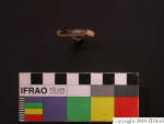 L_V23d3967 J4q215.1 U929 dM la f100